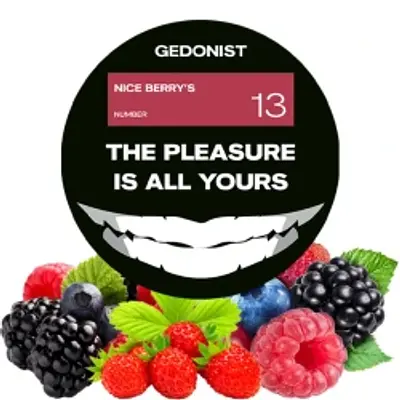 №13 Nice Berry's