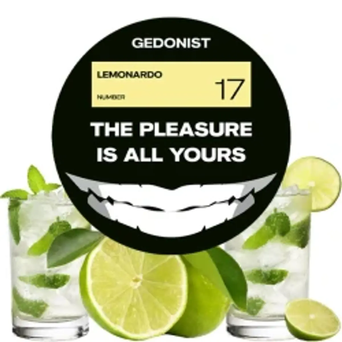 №17 Lemonardo