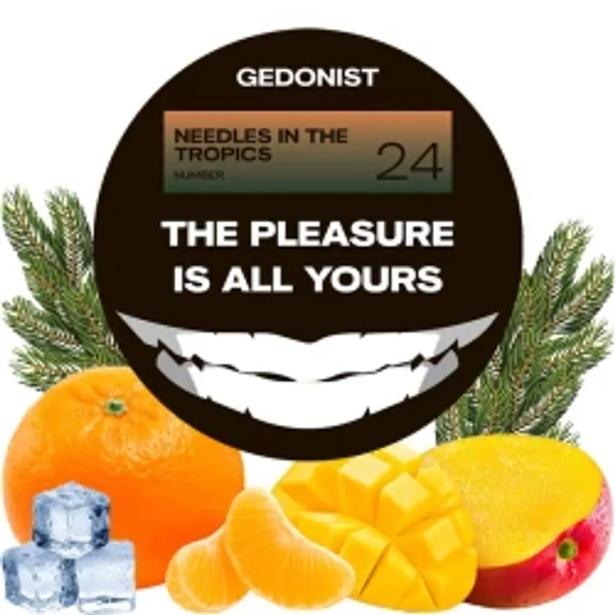 №24 Needles In The Tropics