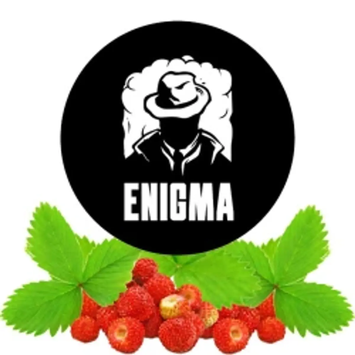 Fragaria