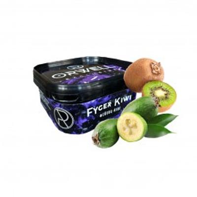 medium Fyger Kiwi