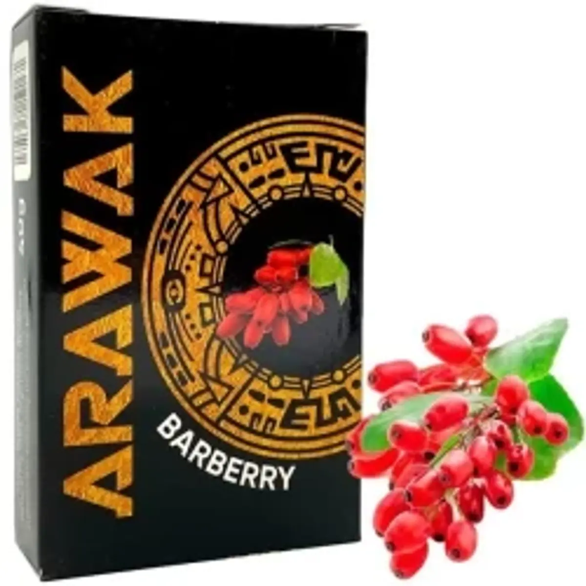 Barberry