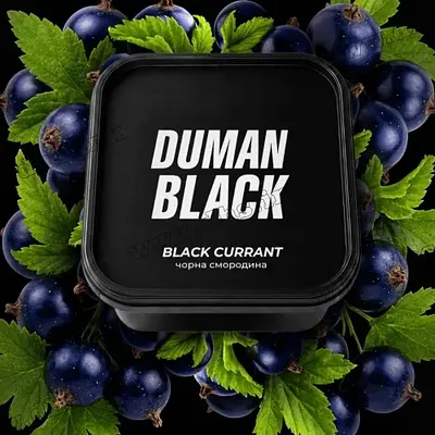 Black Currant