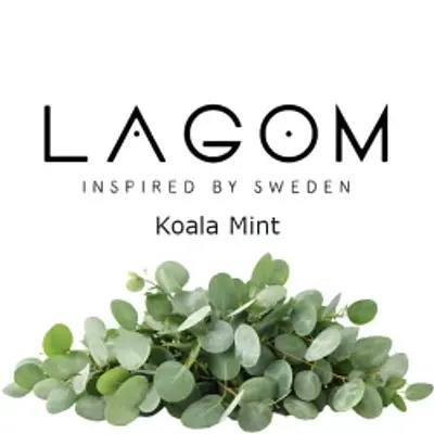 Koala Mint