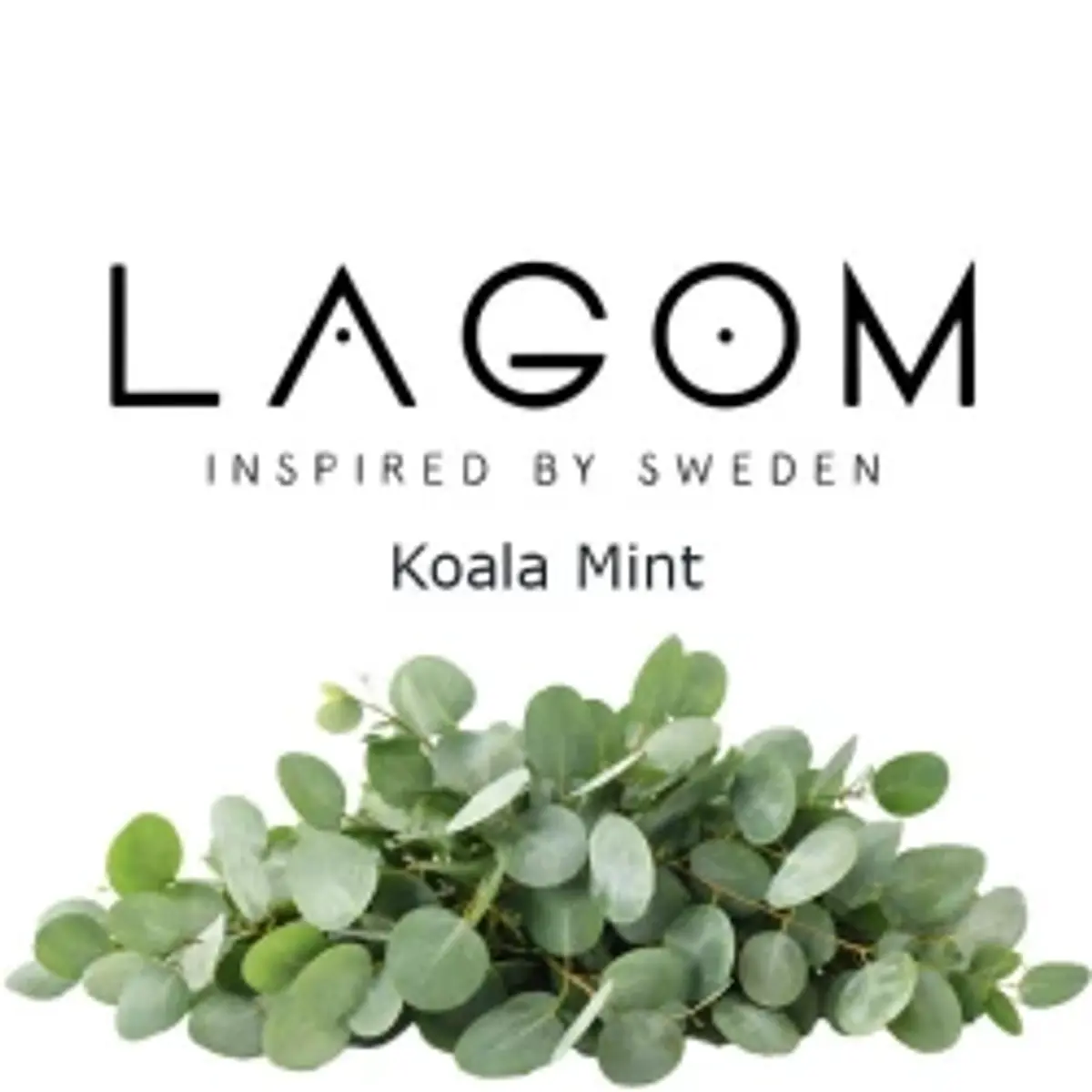 Koala Mint