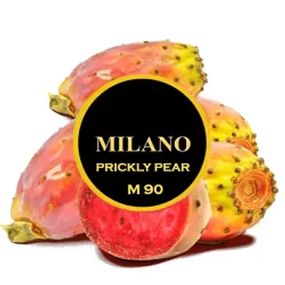 Prickly Pear M90