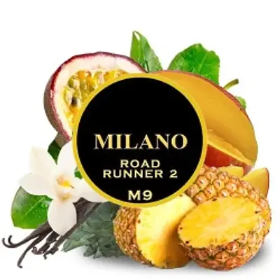 Road Runner 2 M9